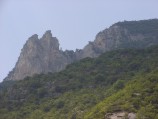 P7261082-158X119.jpg