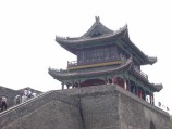 P7271230-158X119.jpg